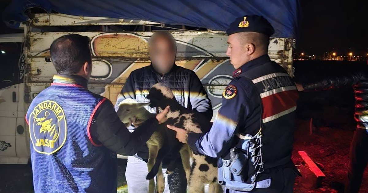 Küçükbaş hayvan çalan 4 kişi yakalandı