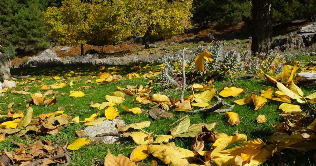 Aydın dağları sonbahara kucak açtı