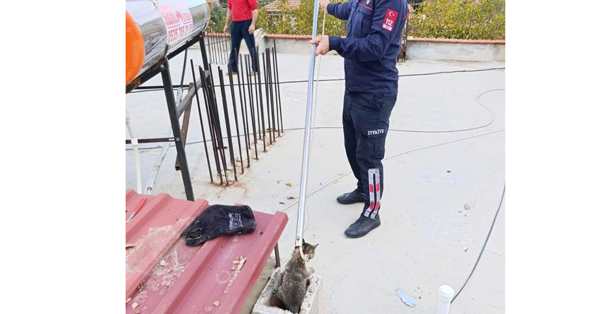 Bacaya sıkışan kediyi itfaiye kurtardı 