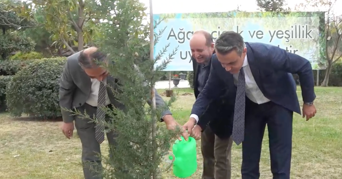 Köklerden Geleceğe: Yeşeren Eller Hareketi Ağaç Dikme Etkinliği