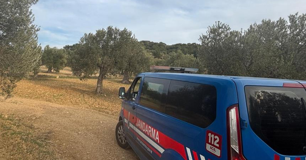 Aliağa’da zeytin hasadı başladı, güvenlik önlemleri artırıldı