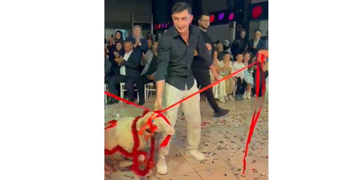 Damada verilen hediyeye herkes şaştı kaldı