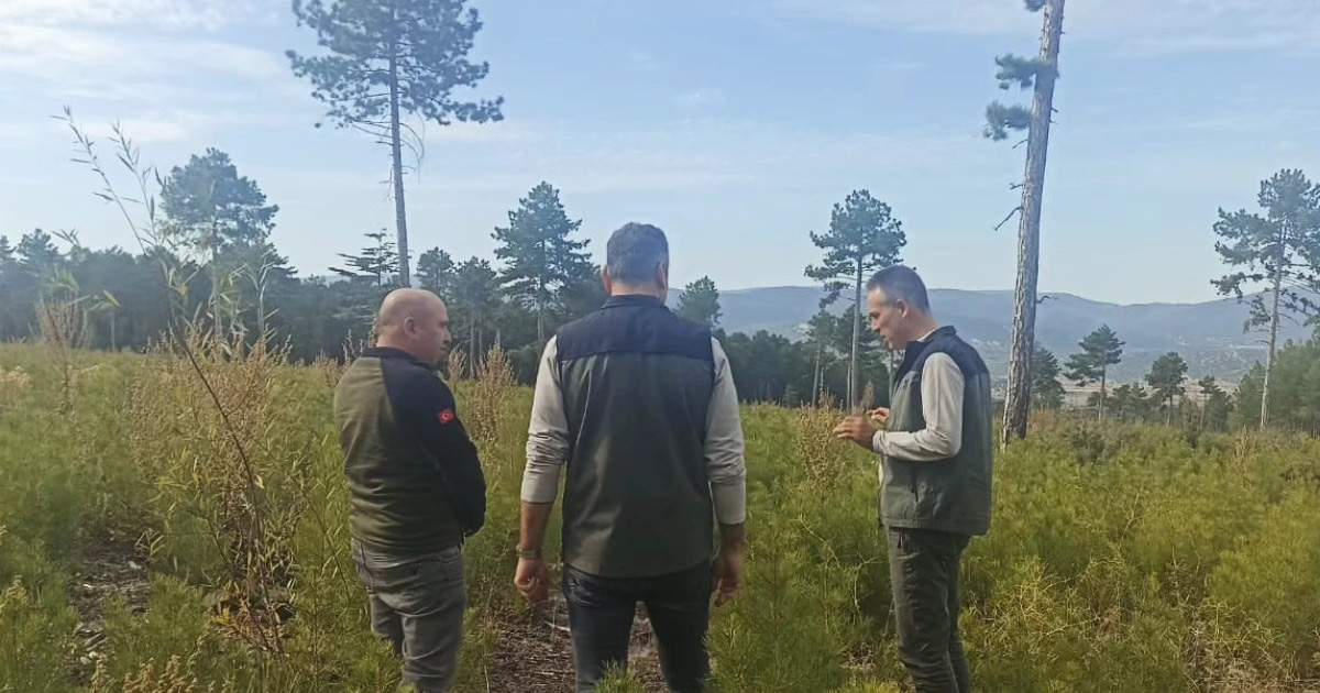 Orman Bölge Müdürü Köle, Tavas’ta incelemelerde bulundu