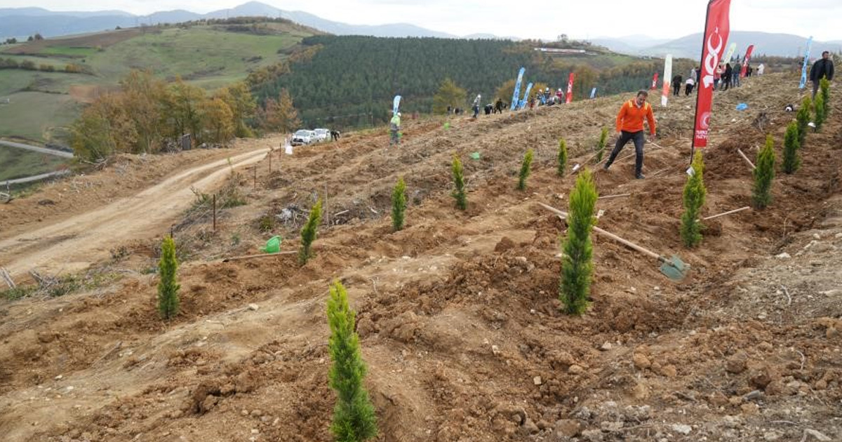 11 Kasım Milli Ağaçlandırma Günü’nde Denizli’de fidanlar toprakla buluşacak