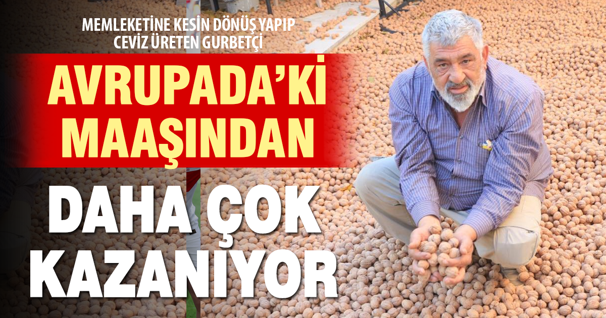 Ceviz üretimiyle Avrupa’daki maaşından daha çok kazanıyor