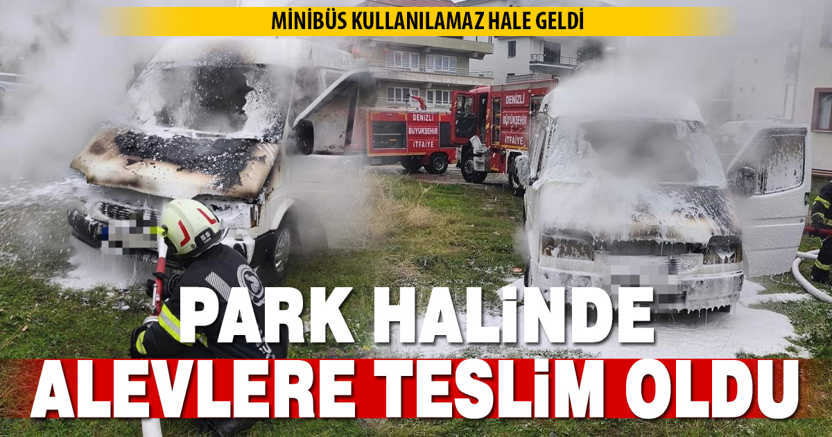 Park halindeki minibüs alevlere teslim oldu
