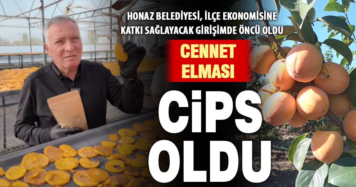 Honaz’da cennet elması cipsi dönemi başladı: Çiftçilere yeni kazanç kapısı