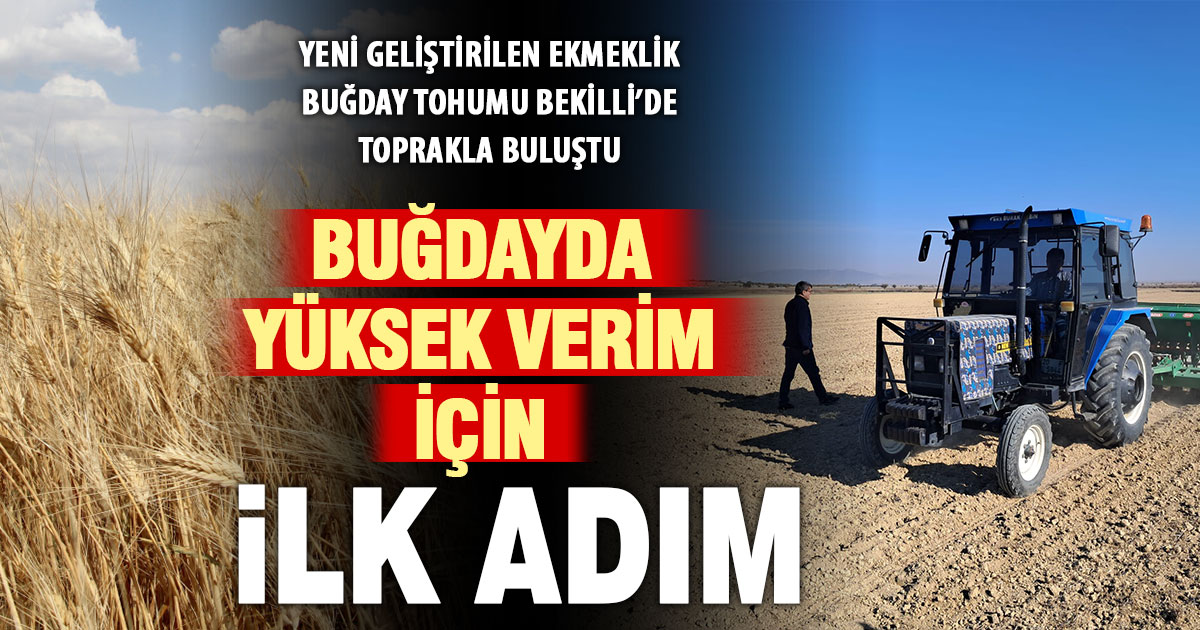 Denizli’de yüksek verimli ekmeklik buğday tohumu toprakla buluştu