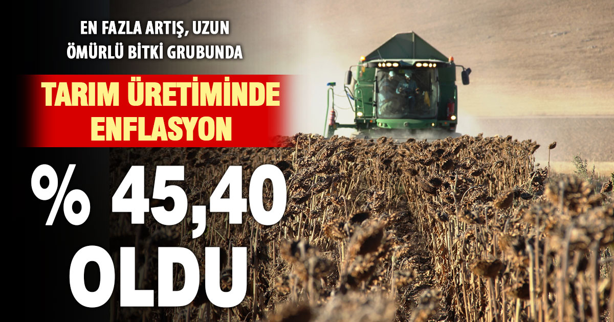 Tarım üretiminde enflasyon yüzde 45,40 oldu