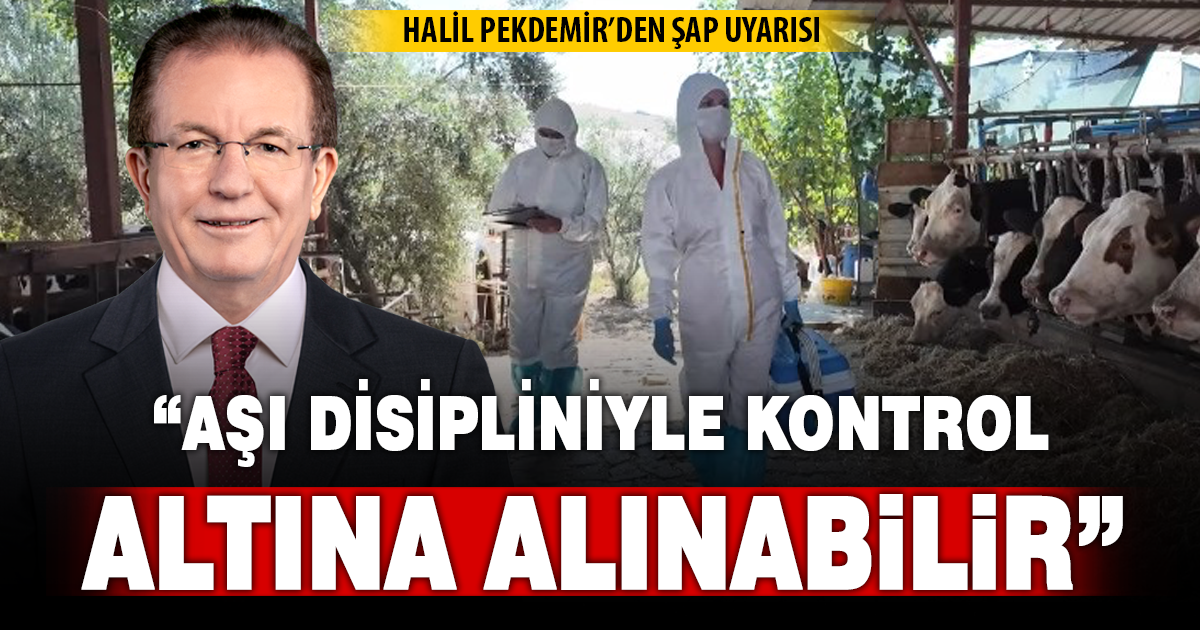 İş İnsanı Halil Pekdemir’den şap açıklaması