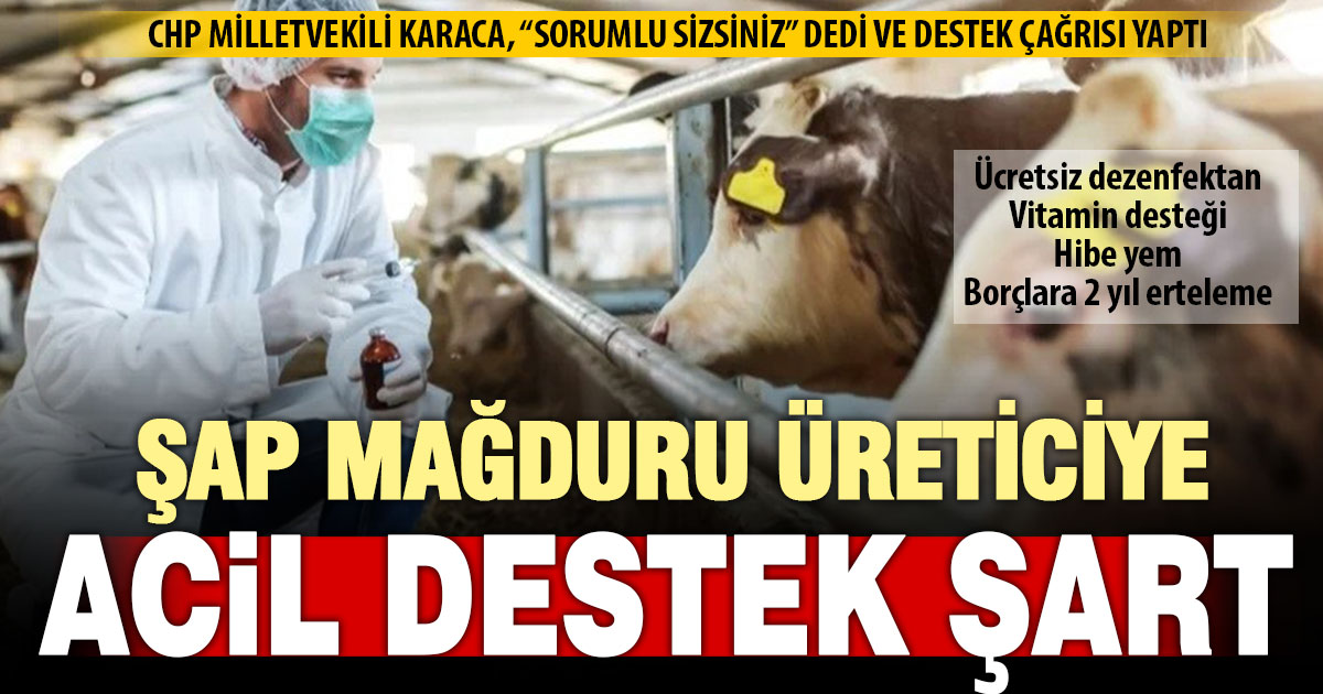 CHP’li Karaca şap hastalığının mağdur ettiği üretici için destek istedi