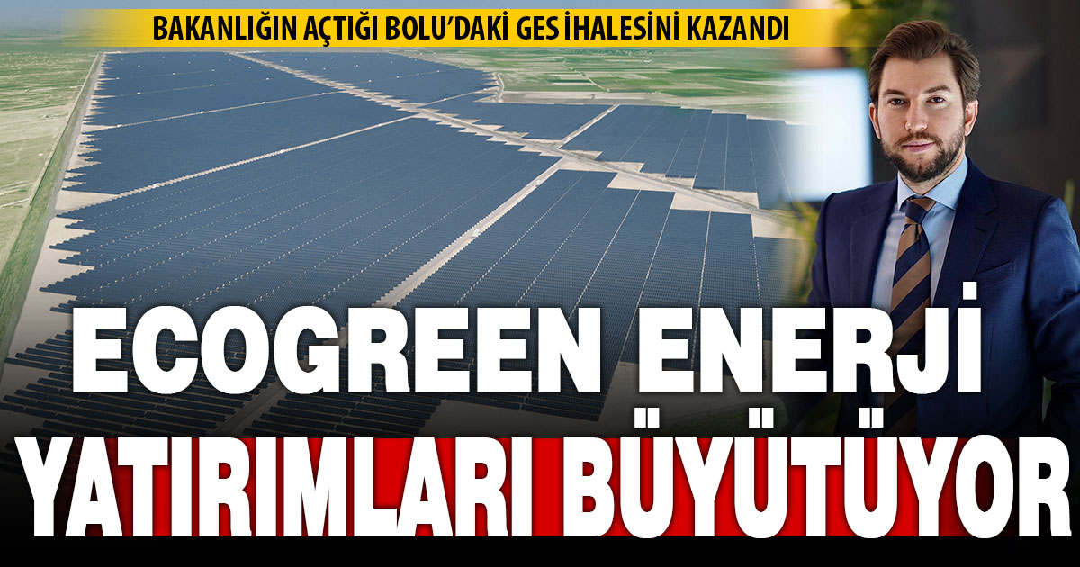 Ecogreen Enerji Holding, Bolu GES Projesini kazandı  