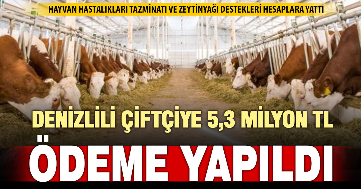 Denizli çiftçisine 5,3 milyon TL’lik nakit destek hesaplara yatırıldı