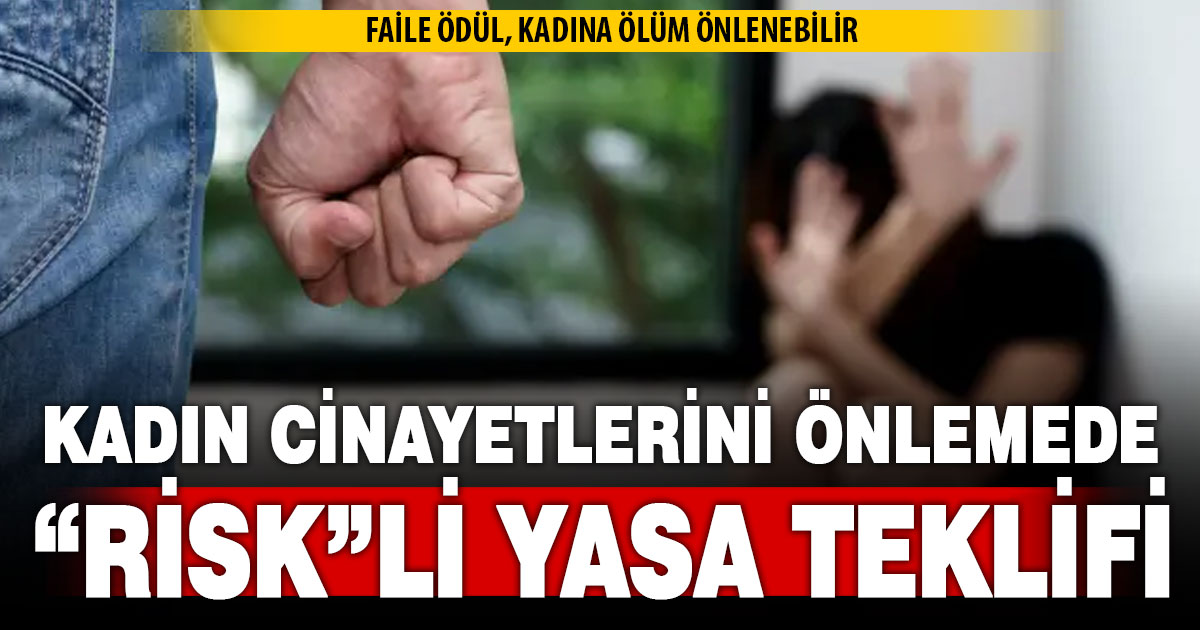 Kadın cinayetlerini önlemede “Risk”li yasa teklifi