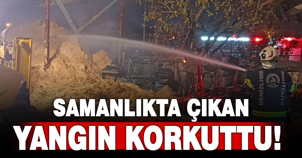 Samanlıkta çıkan yangın korkuttu!
