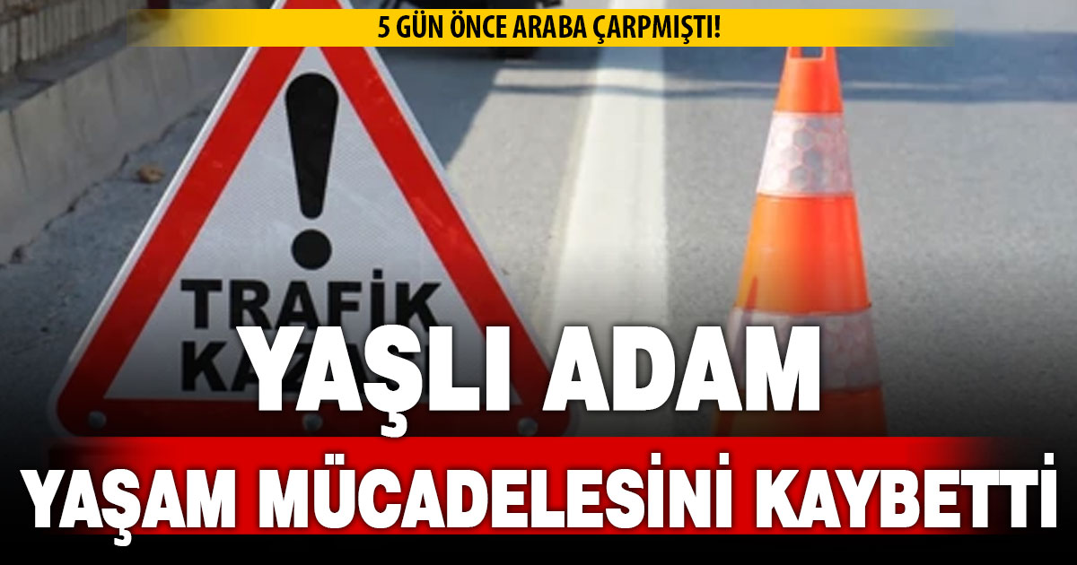 5 gün önce araba çarpmıştı; Yaşlı adam yaşam mücadelesini kaybetti
