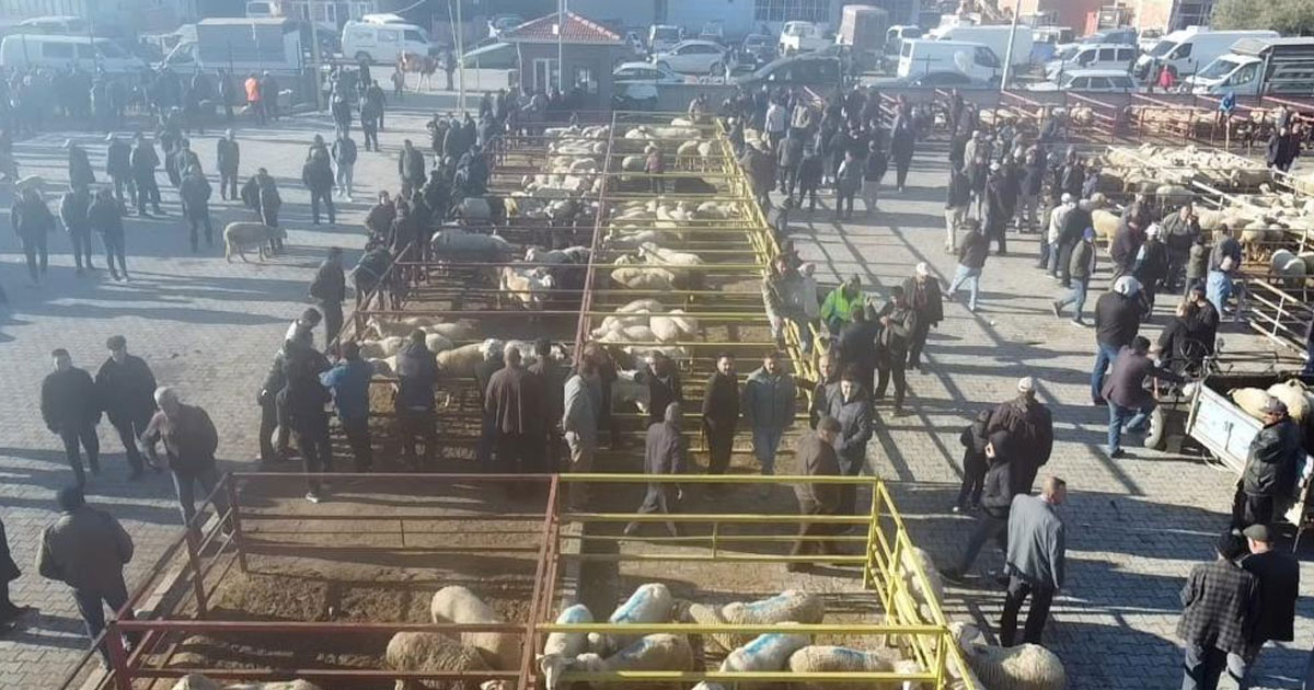 Uzun süredir kapalı olan canlı hayvan pazarı açıldı