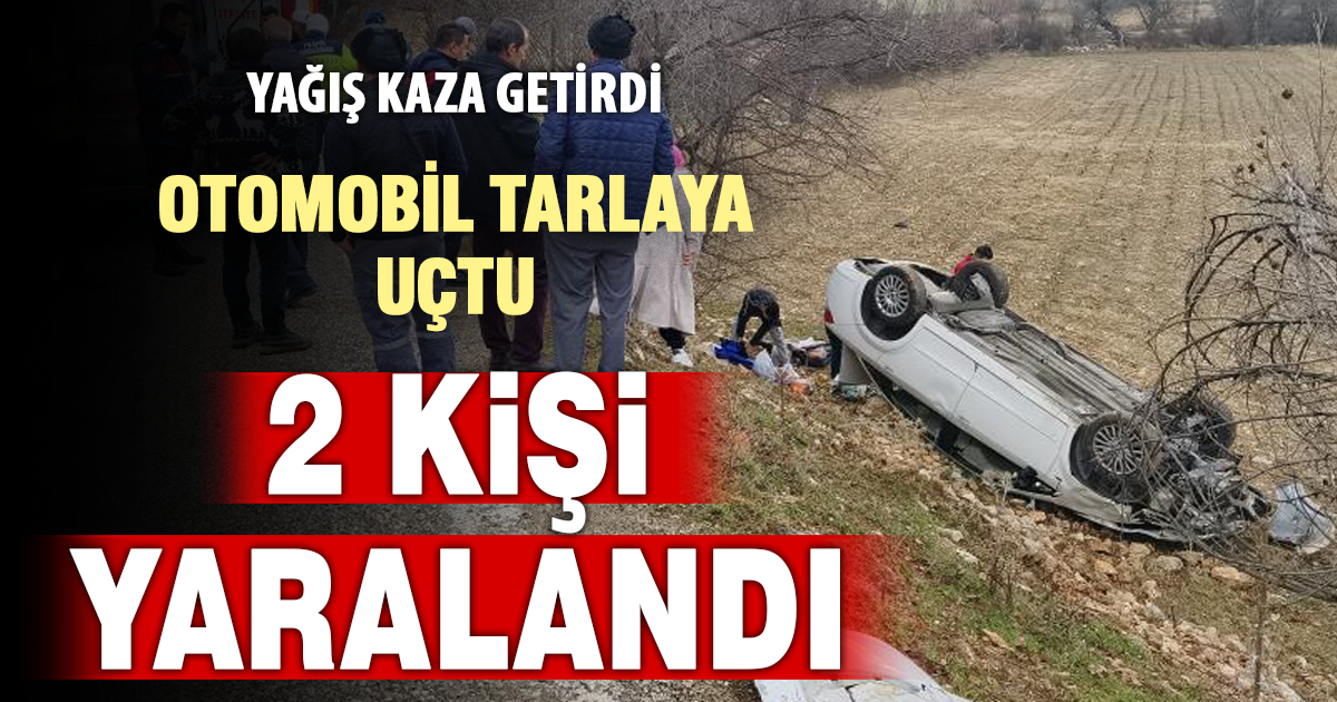 Kontrolden çıkan otomobil tarlaya uçtu; 2 yaralı