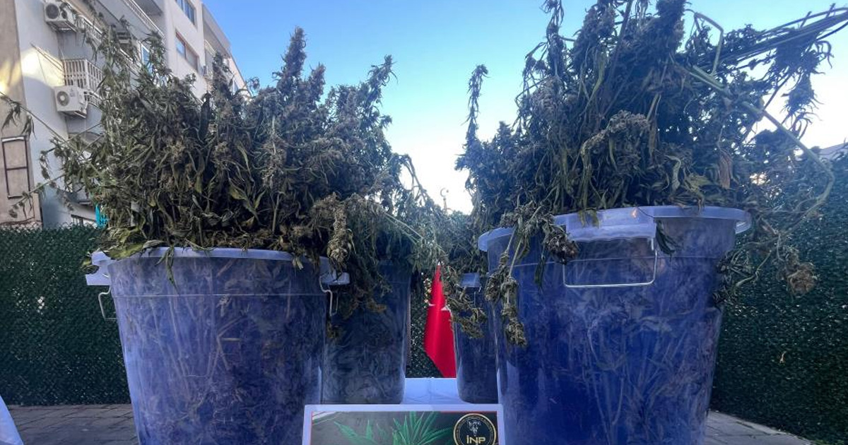 3 milyon uyuşturucu hap ele geçti: 46 tutuklama