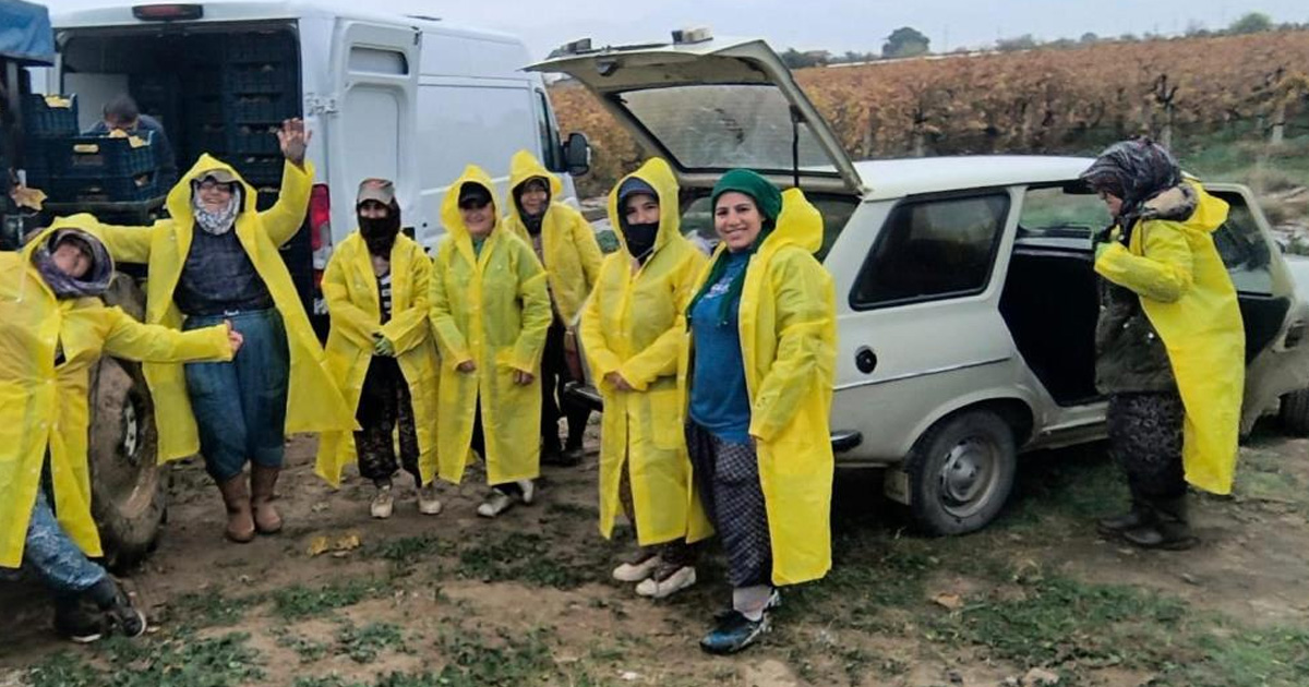 İşçiler yağmur ve çamuru aldırış etmeden üretime devam ediyor