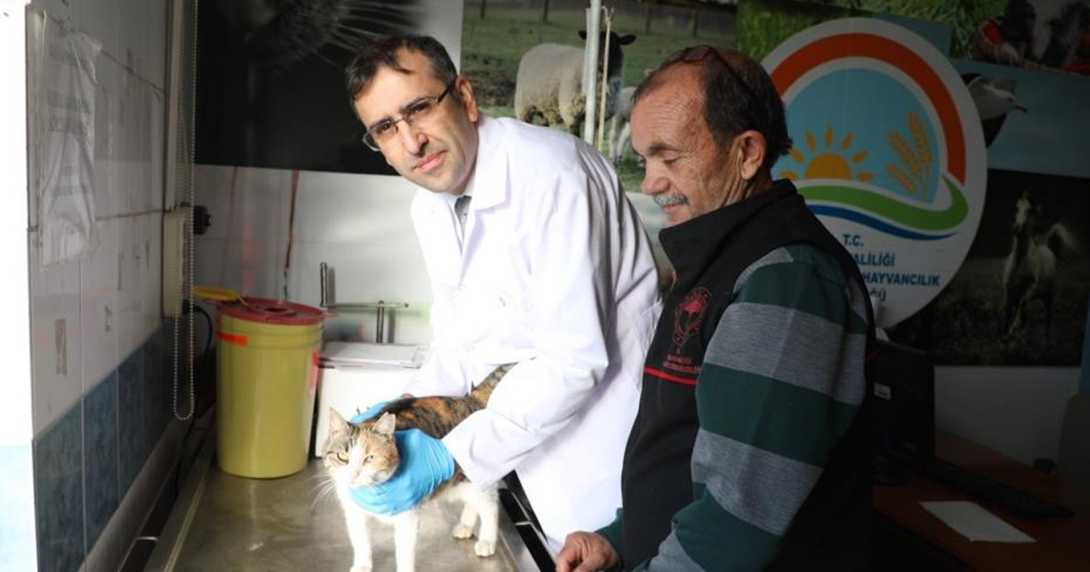 Kedi ve köpeklere mikroçip uyarısı: 31 Aralık son gün