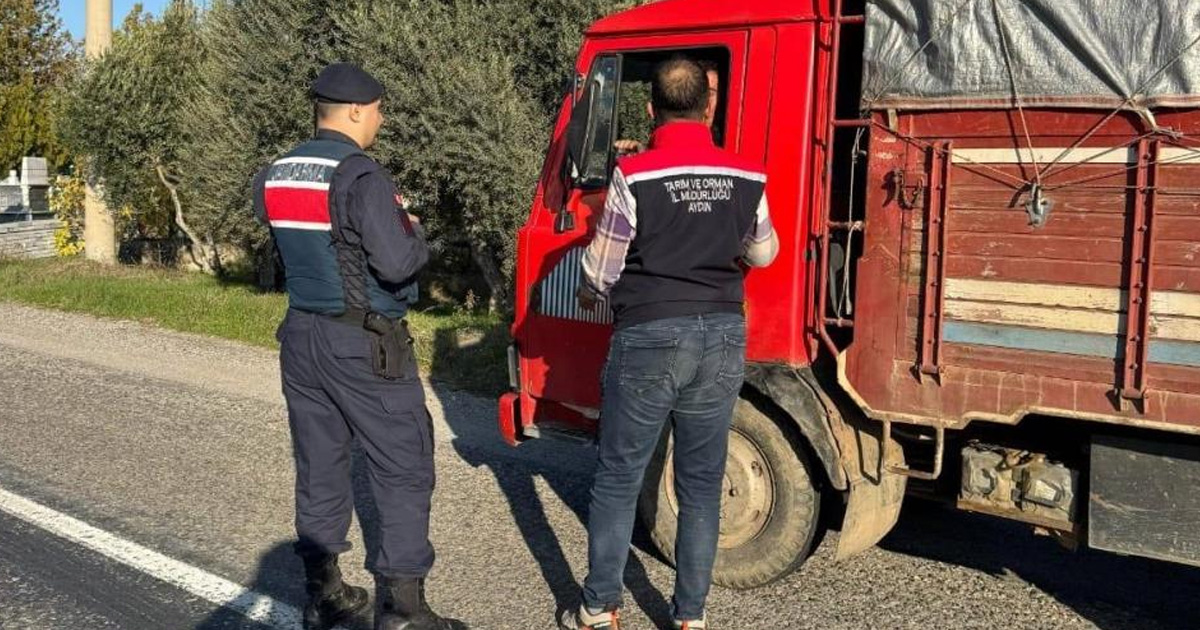 Bozdoğan’da ilçe tarım ve jandarmadan yol denetimi