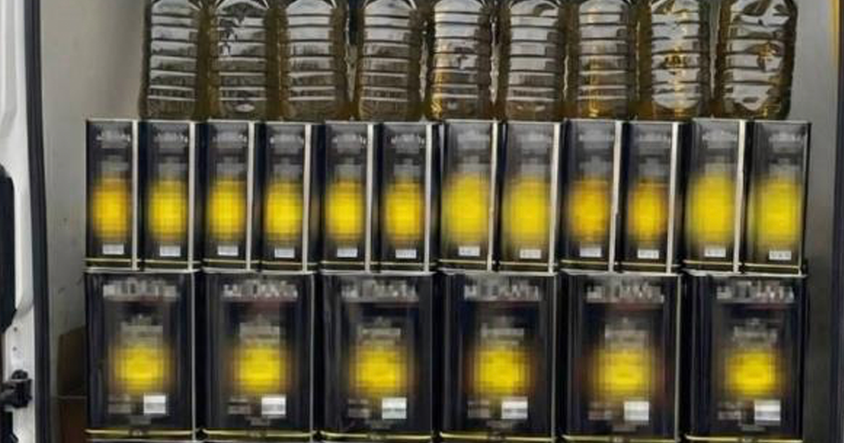 Jandarma 655 litre sahte zeytinyağı ele geçirdi 