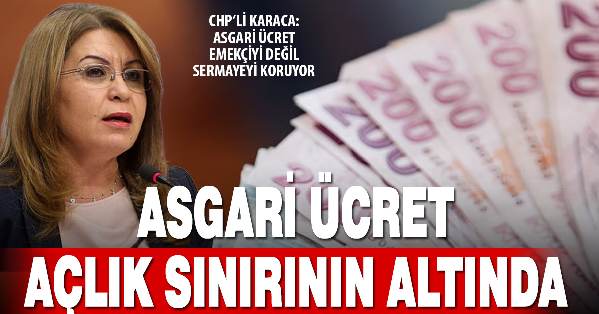 CHP’li Karaca’dan asgari ücret tepkisi