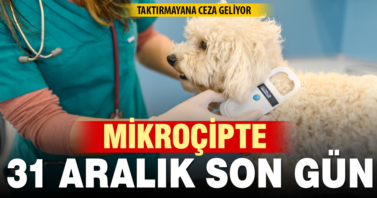 Mikroçipte son gün 31 Aralık: Cezalar katlanıyor