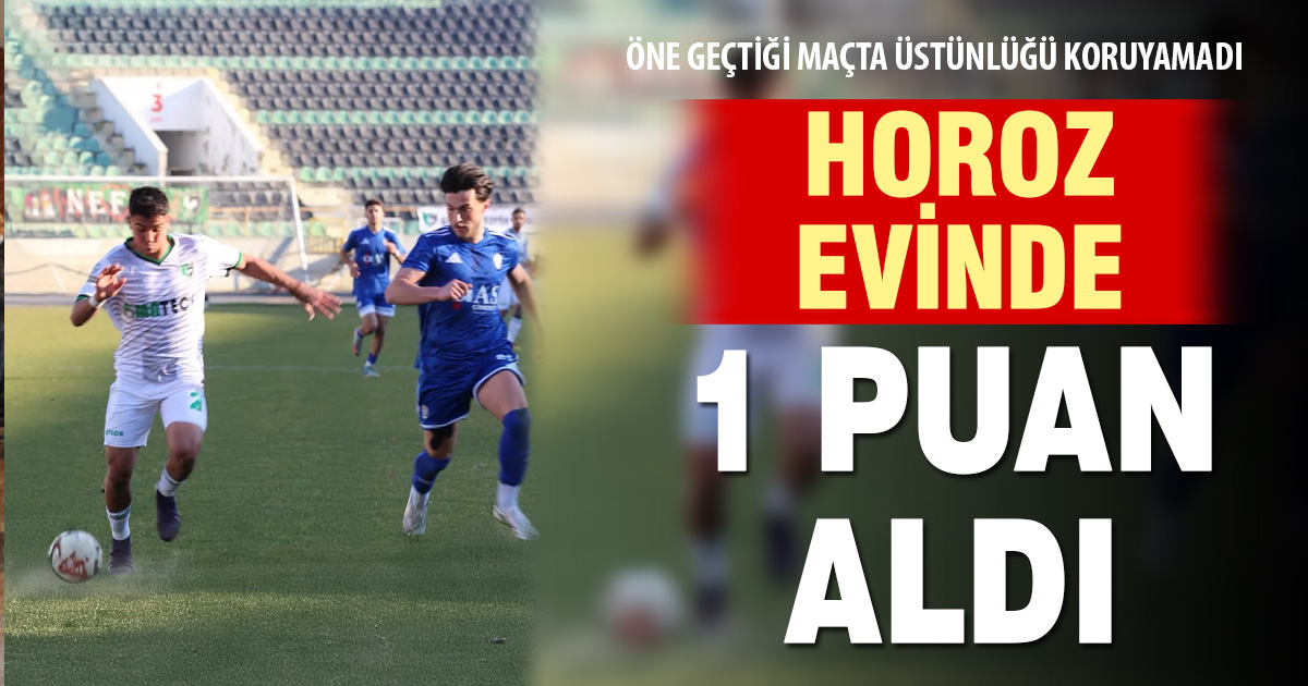 Denizlispor evinde üstünlüğü koruyamadı