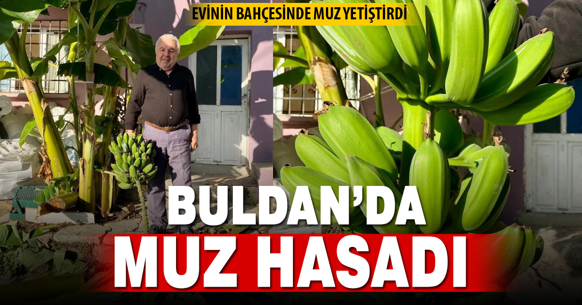 Buldan’da evinin bahçesinde muz yetiştirdi