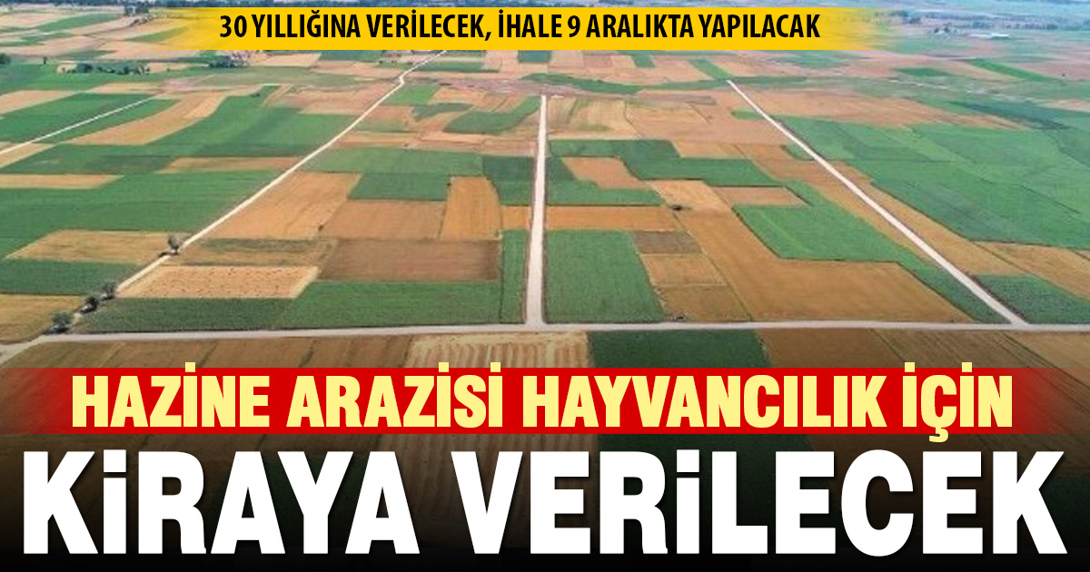 30 yıllığına hayvancılık yatırımı için hazine arazisi kiraya çıkıyor