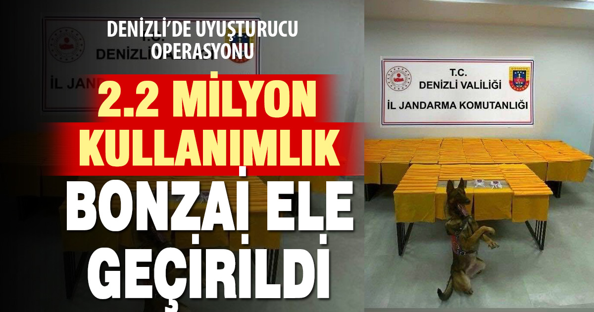 Denizli’de 2,2 milyon kullanımlık bonzai ele geçirildi