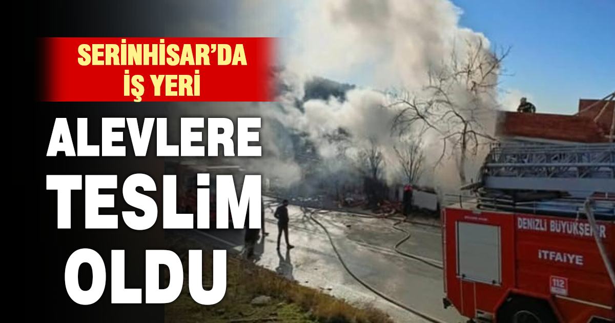 Denizli’de iş yerinde çıkan yangın korkuya neden oldu 