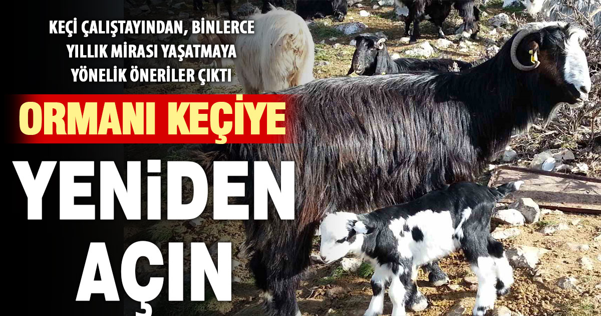 Keçi çalıştayı yapıldı: Ormanlar keçilerin otlatmasına yeniden açılmalı
