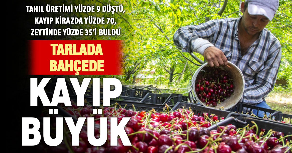2025’te pek çok tarımsal üründe büyük kayıp yaşandı