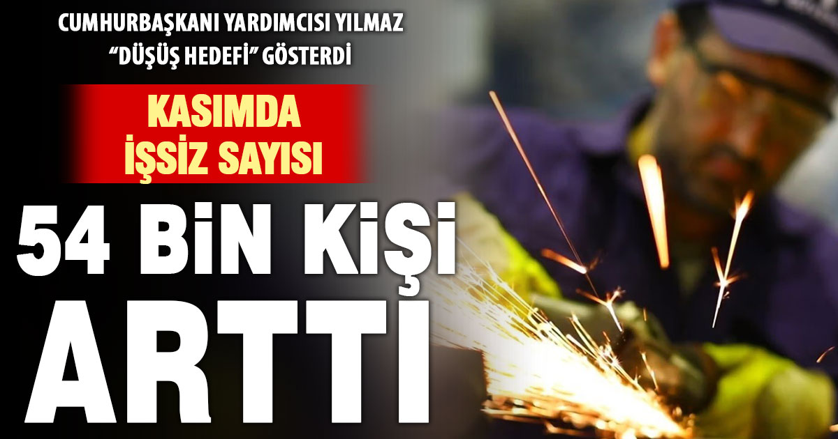 Kasımda işsizlik yüzde 8,6 oldu
