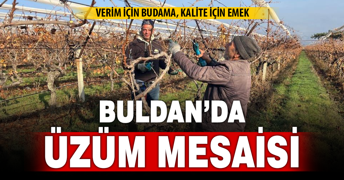 Buldan’ın tescilli üzümlerinin yetiştiği asmalar yeni sezona hazırlanıyor 