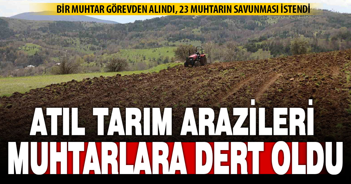Acıpayam’da kullanılmayan tarım arazisi tespitinde 1 muhtar açığa alındı, 23’ünün savunması istendi