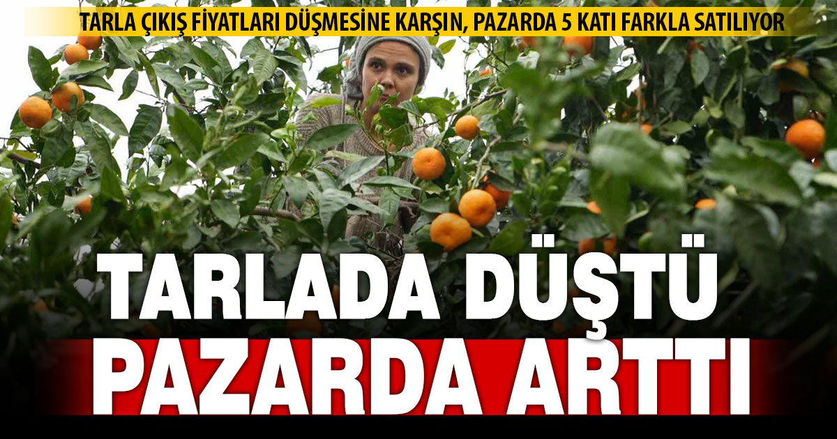 Kasım ayında ürünlerin tarla çıkış fiyatları düştü, pazar fiyatları arttı