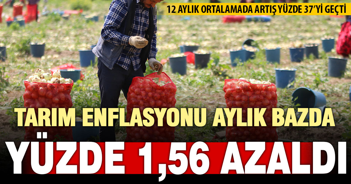 Tarım enflasyonu kasımda yüzde 1,5 düştü