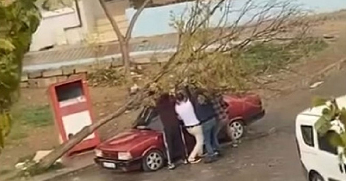 Park halindeki otomobilin üzerine ağaç devrildi