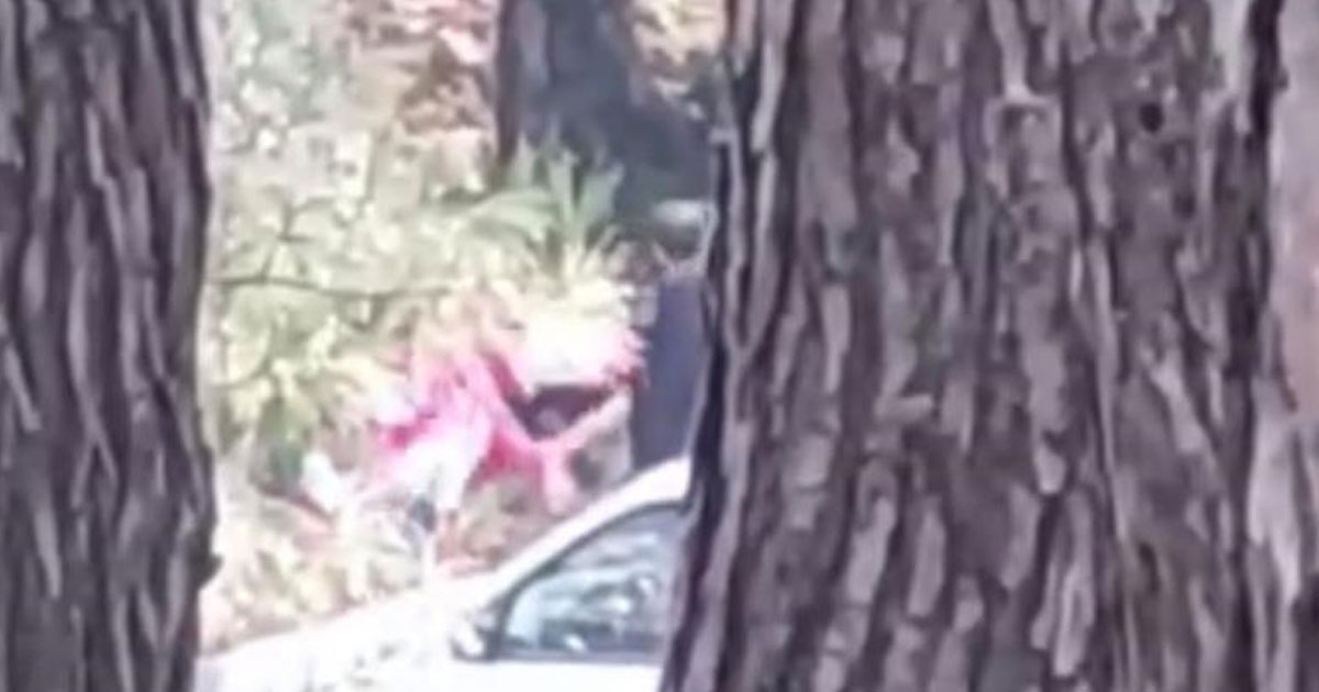 Ormanlık alanda kadını darbeden şüpheli yakalandı