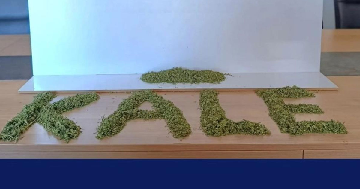 Kale’de uyuşturucu operasyonunda 20 gözaltı