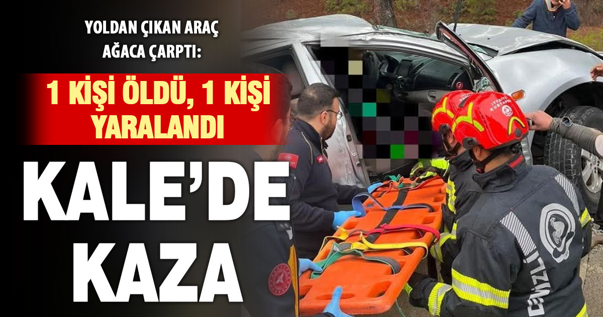 Yoldan çıkan araç ağaca çarptı; 1 ölü, 1 yaralı
