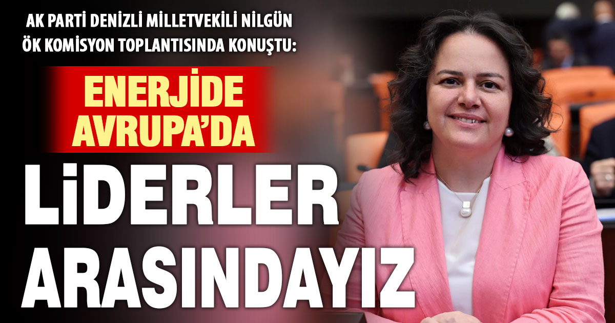 Denizli Milletvekili Nilgün Ök, Komisyon toplantısında enerji değerlendirmesi yaptı