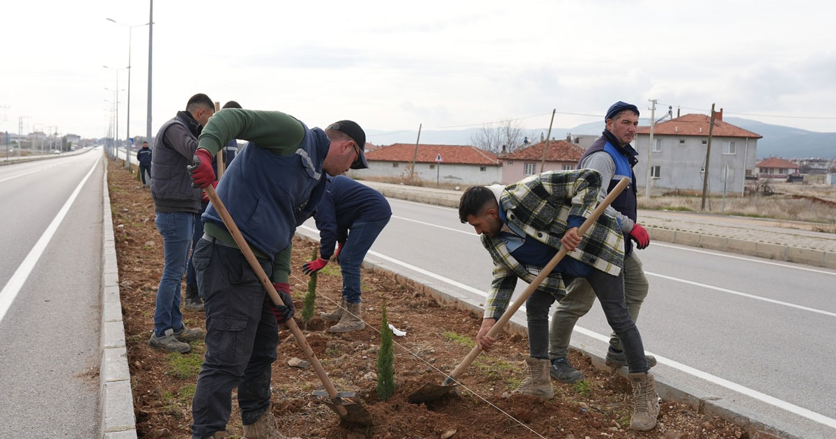 Çivril girişi yeşilleniyor: Denizli-Uşak yolu refüjleri yenileniyor