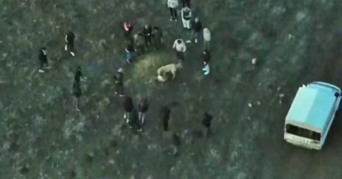 Köpek dövüştüren şahıslara jandarmadan dronlu baskın 