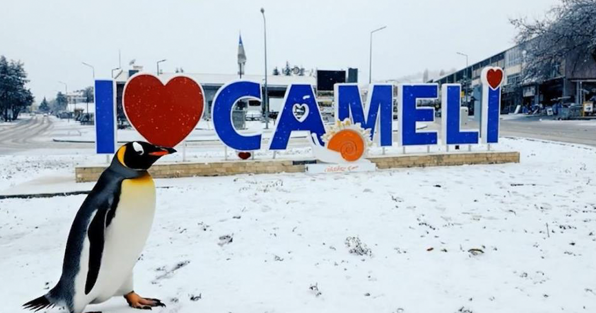 Çameli Belediyesi’nden penguenli paylaşım 