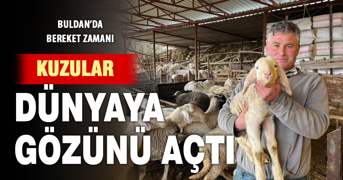 Soğuk havalarda gerçekleşen doğumun ardından üreticilerin yüzü güldü